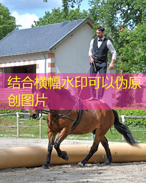 qual o melhor jogo pra jogar no cassino on line