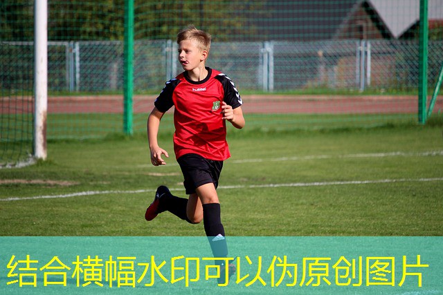 como jogar blaze cassino