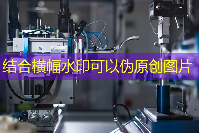 lugares onde é proibido jogar cassino