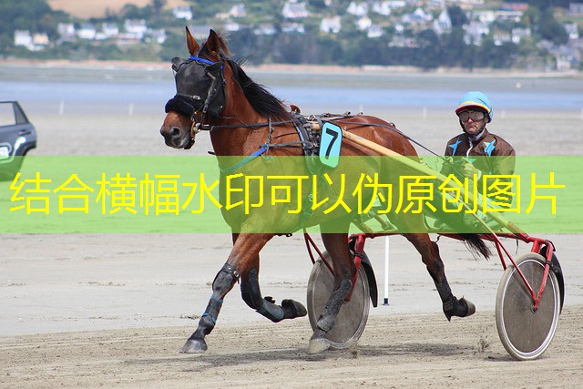 moeda de jogo de cassino