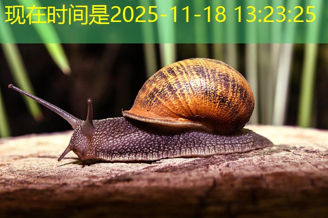 jogos de cassino valendo dinheiro