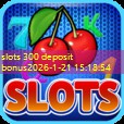 slots 300 deposit bonus