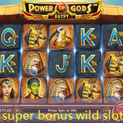 super bonus wild slot